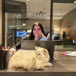 a person working on a laptop with a cat